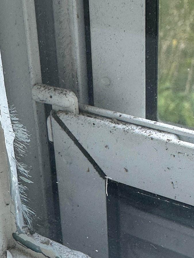 corner installed